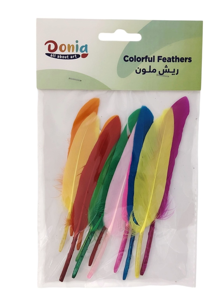 ريش ملون صغير دنيا